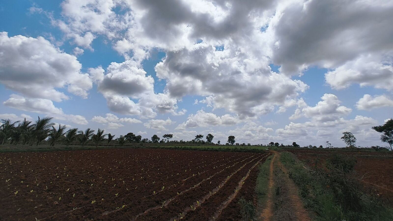 ಉತ್ತಮ ಮುಂಗಾರು ಮಳೆ ನಿರೀಕ್ಷೆ; ಬಿತ್ತನೆ ಬೀಜ,ರಸಗೊಬ್ಬರಕ್ಕೆ ಹೆಚ್ಚಿದ ಬೇಡಿಕೆ: ನೆರವಿಗೆ ಧಾವಿಸಲು ಸರ್ಕಾರಕ್ಕೆ ಬೇಡಿಕೆ ಇಟ್ಟ ರೈತ ಸಮುದಾಯ