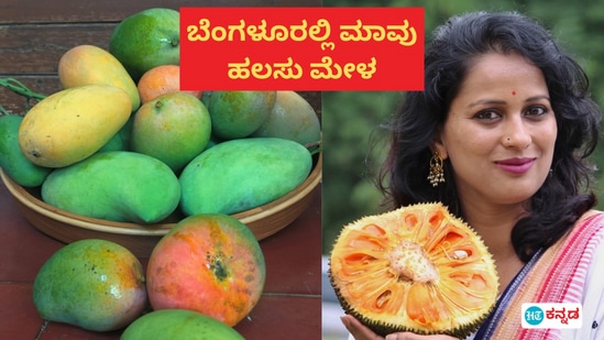 ಬೆಂಗಳೂರಿನಲ್ಲಿ ಮಾವು, ಹಲಸಿನ ಮೇಳ ಸವಿಯಲು ಬನ್ನಿ ಬೆಂಗಳೂರಿನಲ್ಲಿ ಮಾವು, ಹಲಸಿನ ಮೇಳ ಸವಿಯಲು ಬನ್ನಿ