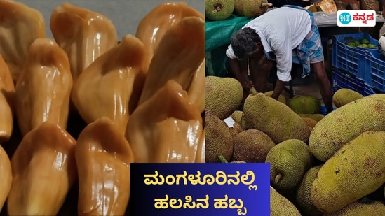 ಮಂಗಳೂರಿನಲ್ಲಿ ಮೇ 24, 25ರಂದು ಹಲಸಿನ ಮೇಳ ನಡೆಯಲಿದೆ. ಮಂಗಳೂರಿನಲ್ಲಿ ಮೇ 24, 25ರಂದು ಹಲಸಿನ ಮೇಳ ನಡೆಯಲಿದೆ.