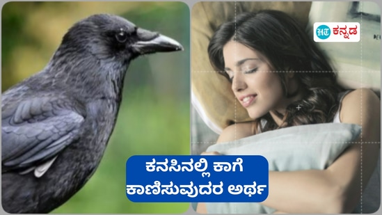 ಕನಸಿನಲ್ಲಿ ಕಾಗೆ ಕಾಣಿಸುವುದು ಮತ್ತು ಅದರ ಚಲನವಲಗಳಿಂದ ಏನೆಲ್ಲಾ ಪ್ರಯೋಜನ ಹಾಗೂ ಅಶುಭಗಳ ಸಂಕೇತವನ್ನು ತಿಳಿಯಿರಿ ಕನಸಿನಲ್ಲಿ ಕಾಗೆ ಕಾಣಿಸುವುದು ಮತ್ತು ಅದರ ಚಲನವಲಗಳಿಂದ ಏನೆಲ್ಲಾ ಪ್ರಯೋಜನ ಹಾಗೂ ಅಶುಭಗಳ ಸಂಕೇತವನ್ನು ತಿಳಿಯಿರಿ
