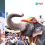 ಆಂಧ್ರಪ್ರದೇಶಕ್ಕೆ ಹೊರಟ ಕರ್ನಾಟಕದ ಅಭಿಮನ್ಯು ಆನೆ, ಮೈಸೂರು ದಸರಾ ಅಂಬಾರಿ ಗಜ ತಂಡದ ಕ್ಯಾಪ್ಟನ್‌ ಈತನಲ್ಲ !