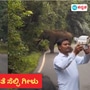 ಚಾರ್ಮಾಡಿ ಘಾಟಿಯಲ್ಲಿ ಕಾಡಾನೆ ಜತೆ ಪ್ರವಾಸಿಗರ ಸೆಲ್ಫಿ, ಜನ ಬುದ್ದಿ ಕಲಿಯೋದು ಯಾವಾಗ?: ವಿಡಿಯೋ ನೋಡಿ