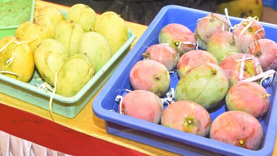 ಕರ್ನಾಟಕದ ಪ್ರಮುಖ ಹಣ್ಣುಗಳಲ್ಲಿ ಒಂದಾದ ಮಾವು ಈಗ ಮಾರುಕಟ್ಟೆಯಲ್ಲಿ ರಾರಾಜಿಸುತ್ತಿದೆ. ಜನ ಮಾವು ಖರೀದಿಸಿ ಸವಿಯಲು ಅನುವಾಗುವಂತೆ ತೋಟಗಾರಿಕೆ ಇಲಾಖೆ ಮಾವಿನ ಮೇಳ ಹಮ್ಮಿಕೊಂಡಿದೆ.