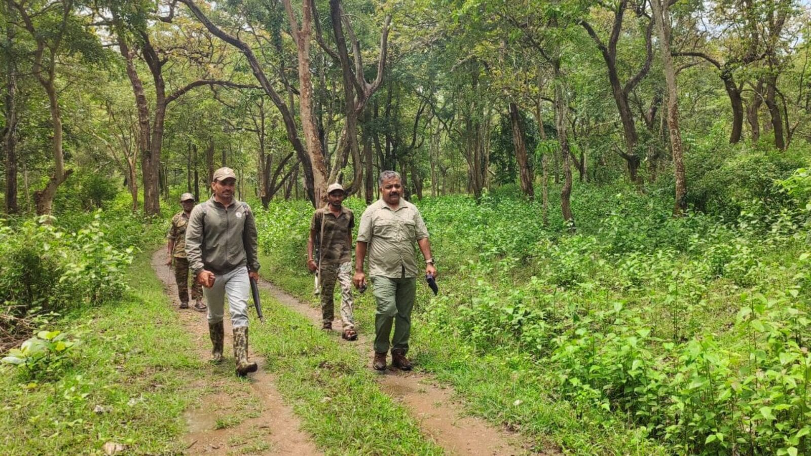 ಗಣತಿ ವೇಳೆ ದರ್ಶನ ಕೊಟ್ಟ ಆನೆಗಳು; ಕರ್ನಾಟಕ, ತಮಿಳುನಾಡು, ಕೇರಳದ ಅರಣ್ಯ ಪ್ರದೇಶಗಳಲ್ಲಿ ಕರಿಪಡೆ ಗಣತಿ