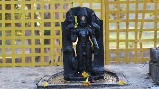 ಶನಿ ದೇವರ ಮಹತ್ವ: ಶನಿ ದೇವರನ್ನು ಹಿಂದೂ ಧರ್ಮದಲ್ಲಿ ನ್ಯಾಯದ ದೇವರು ಎಂದು ಪೂಜಿಸಲಾಗುತ್ತದೆ. ವ್ಯಕ್ತಿಯ ಕಾರ್ಯಗಳ ಆಧಾರದ ಮೇಲೆ ಭೋಗ ಮತ್ತು ಶಿಕ್ಷೆಯನ್ನು ಶನಿ ನೀಡುತ್ತಾನೆ. ಜ್ಯೋತಿಷ್ಯದಲ್ಲಿ ಶನಿಯ ಸಾಡೇಸಾತಿ ಮತ್ತು ಧೈಯಾಗೆ ವಿಶೇಷ ಮಹತ್ವವಿದೆ. ಶನಿ ದೇವರ ಆಶೀರ್ವಾದ ಪಡೆಯಲು ಮತ್ತು ಆತನ ಕೋಪವನ್ನು ತಪ್ಪಿಸಲು ಎಣ್ಣೆ, ಕಪ್ಪು ಎಳ್ಳು, ಕಪ್ಪು ಬಟ್ಟೆಗಳು ಮತ್ತು ನೀಲಿ ಹೂವುಗಳನ್ನು ಅರ್ಪಿಸಲಾಗುತ್ತದೆ. ಅವುಗಳಲ್ಲಿ ಸಾಸಿವೆ ಎಣ್ಣೆ ಪ್ರಮುಖವಾದುದು.