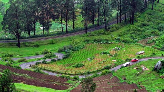 ಪ್ರವಾಸಿ ತಾಣ ಊಟಿಗೆ ಪ್ರವಾಸಿಗರಿಗೆ ಪ್ರವೇಶ ನಿಷೇಧಿಸಲಾಗಿದೆ ಪ್ರವಾಸಿ ತಾಣ ಊಟಿಗೆ ಪ್ರವಾಸಿಗರಿಗೆ ಪ್ರವೇಶ ನಿಷೇಧಿಸಲಾಗಿದೆ
