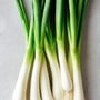 spring_onion spring_onion