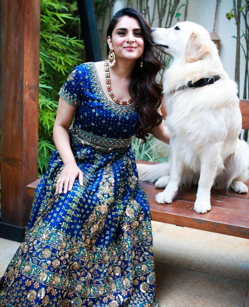 ಸಂಜು ವೆಡ್ಸ್ ಗೀತಾ, ದಂಡಂ ದಶಗುಣಂ, ಜಾನಿ ಮೇರಾ ನಾಮ್ ಪ್ರೀತಿ ಮೇರಾ ಕಾಮ್, ಸಿದ್ಲಿಂಗು, ಲಕ್ಕಿ ಇವರ ಇನ್ನಿತರ ಸಿನಿಮಾಗಳು. ಸಂಜು ವೆಡ್ಸ್ ಗೀತಾ, ದಂಡಂ ದಶಗುಣಂ, ಜಾನಿ ಮೇರಾ ನಾಮ್ ಪ್ರೀತಿ ಮೇರಾ ಕಾಮ್, ಸಿದ್ಲಿಂಗು, ಲಕ್ಕಿ ಇವರ ಇನ್ನಿತರ ಸಿನಿಮಾಗಳು.