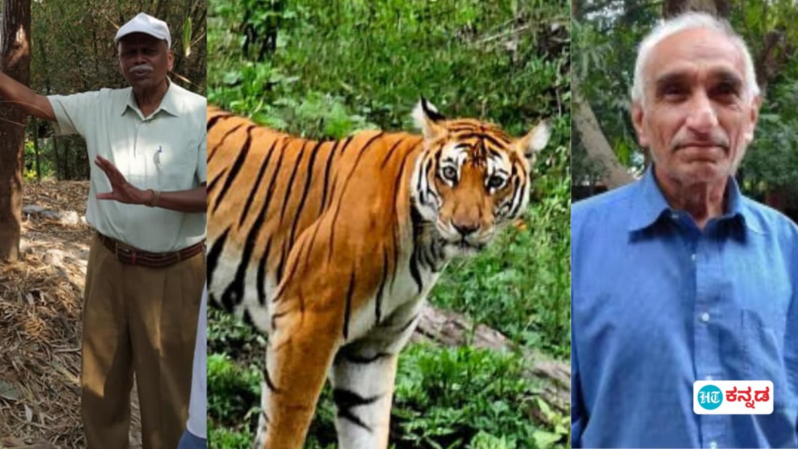 ಅರಣ್ಯ ಸಚಿವರೇ ಇತ್ತ ನೋಡಿ: ಹಲ್ಲಿಲ್ಲದ ಹಾವಾದ ಹುಲಿ ಯೋಜನೆ, ವಿಶೇಷ ಕಾರ್ಯಪಡೆ ಆಟಕ್ಕುಂಟು ಲೆಕ್ಕಕಿಲ್ಲ, ಕಾಡ ಸಿಬ್ಬಂದಿ ನಾಡಿಗೆ ಸ್ಥಳಾಂತರ !