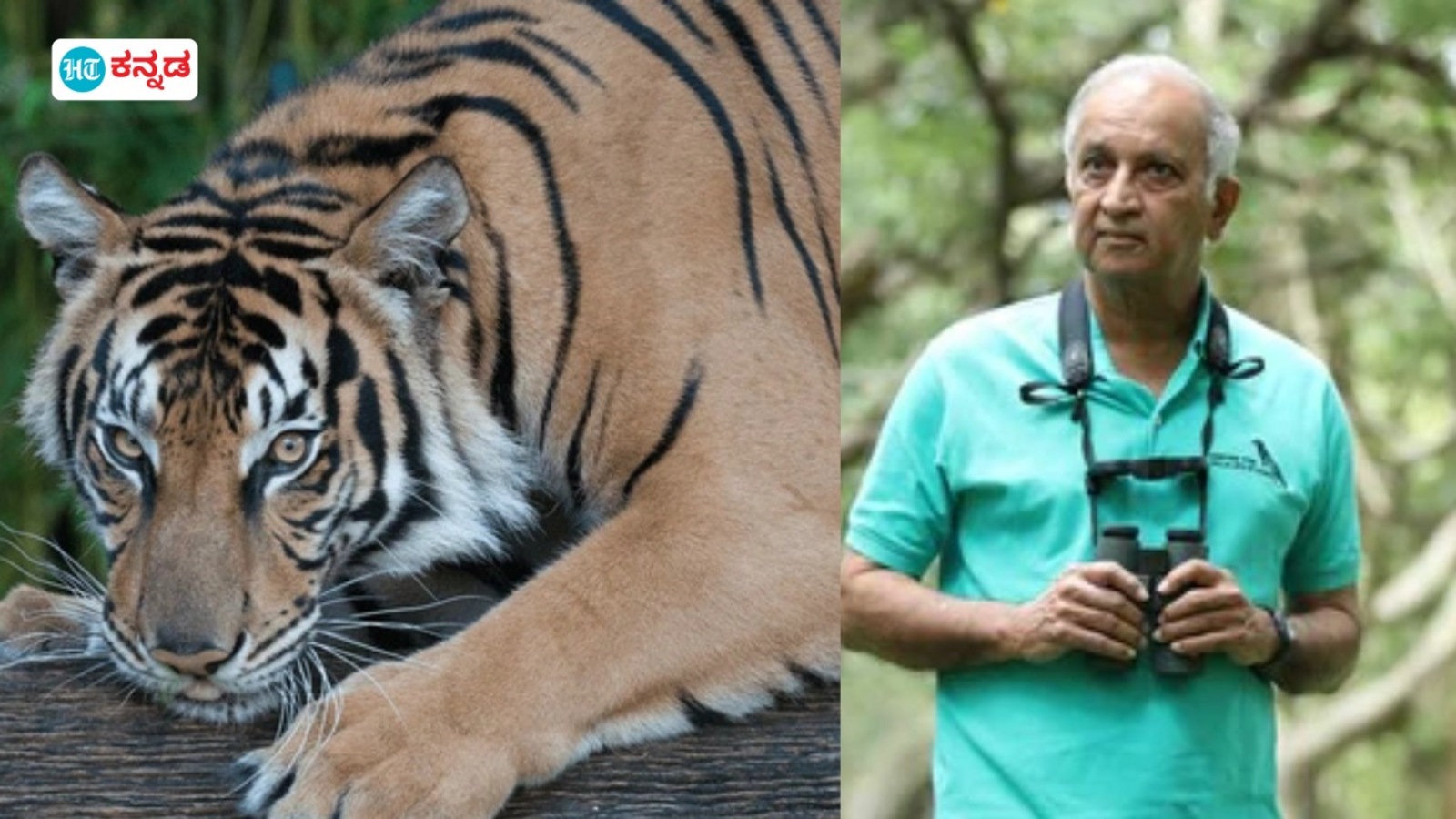 ಹುಲಿ ಸಂರಕ್ಷಣೆ ಎಂದರೆ ಈಗ ಬರೀ ಹಣ ಖರ್ಚು ಕಾರ್ಯಕ್ರಮವೇ, ಕರ್ನಾಟಕ ಅರಣ್ಯ ಇಲಾಖೆಯಲ್ಲಿ ದಕ್ಷ ಅಧಿಕಾರಿಗಳು ಏನಾದರು: ಉಲ್ಲಾಸ ಕಾರಂತ ಪ್ರಶ್ನೆ