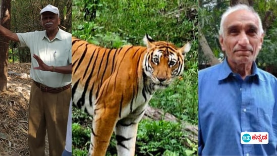 ಕರ್ನಾಟಕದಲ್ಲಿ ಹುಲಿ ಯೋಜನೆ ಸ್ಥಿತಿಗತಿ ಜತೆಗೆ ಹಿರಿಯ ಅಧಿಕಾರಿಗಳಾದ ಎ.ಸಿ.ಲಕ್ಷ್ಮಣ, ಬಿಕೆ. ಸಿಂಗ್ ಅಂಥವರ ಸೇವೆ ಸ್ಮರಣೀಯ. ಕರ್ನಾಟಕದಲ್ಲಿ ಹುಲಿ ಯೋಜನೆ ಸ್ಥಿತಿಗತಿ ಜತೆಗೆ ಹಿರಿಯ ಅಧಿಕಾರಿಗಳಾದ ಎ.ಸಿ.ಲಕ್ಷ್ಮಣ, ಬಿಕೆ. ಸಿಂಗ್ ಅಂಥವರ ಸೇವೆ ಸ್ಮರಣೀಯ.