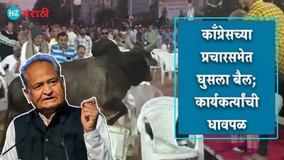 Gujarat Assembly Elections Gujarat Assembly Elections