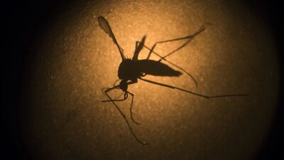 Zika Virus Case in Karnataka