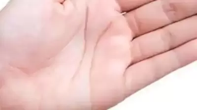 काय सांगतात तुमच्या हातवरच्या रेषा