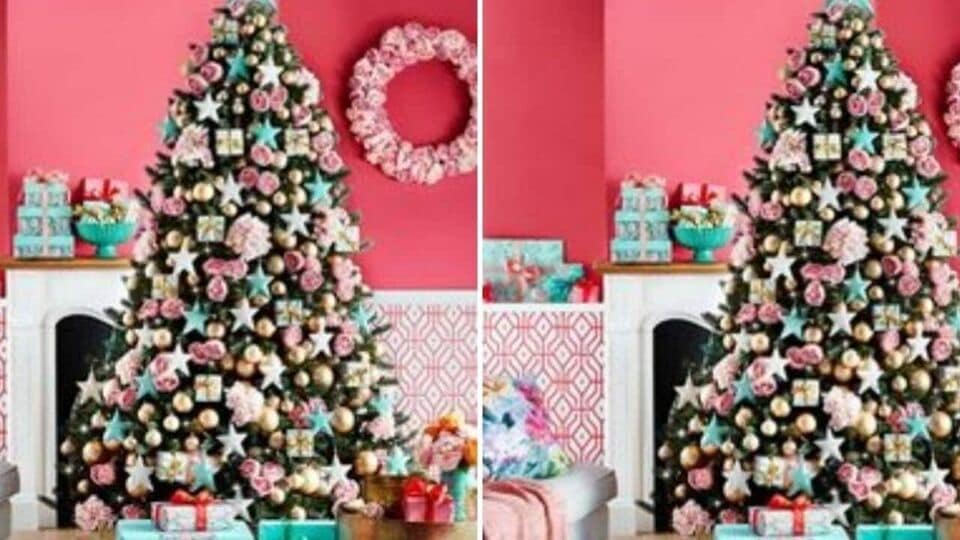 Christmas Tree घरात ख्रिसमस ट्री लावणं मानलं जातं अत्यंत शुभ, दूर