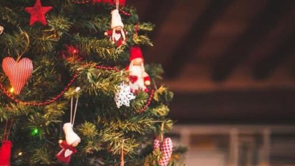 Christmas Tree घरात ख्रिसमस ट्री ठेवताय? मग ‘या’ गोष्टी नक्की करा