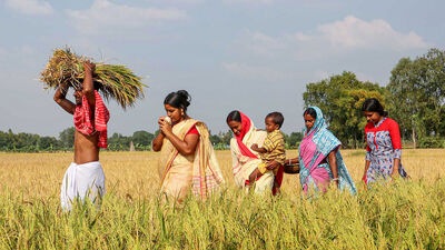 पंतप्रधान किशन सन्मान निधीचे तीन हप्ते कधी येणार? त्याबाबत अटकळ सुरू आहे. अनेक अहवालांनुसार, जानेवारीच्या दुसऱ्या किंवा तिसऱ्या आठवड्यात पंतप्रधान किशन सन्मान निधीचे २००० रुपये देशातील करोडो शेतकऱ्यांच्या खात्यात जमा होऊ शकतात. (चित्र सौजन्य, पीटीआय) <p>पंतप्रधान किशन सन्मान निधीचे तीन हप्ते कधी येणार? त्याबाबत अटकळ सुरू आहे. अनेक अहवालांनुसार, जानेवारीच्या दुसऱ्या किंवा तिसऱ्या आठवड्यात पंतप्रधान किशन सन्मान निधीचे २००० रुपये देशातील करोडो शेतकऱ्यांच्या खात्यात जमा होऊ शकतात. (चित्र सौजन्य, पीटीआय)</p>