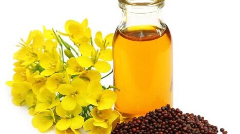 Mustard Oil आरोग्यासाठी वरदानापेक्षा कमी नाही मोहरीचे तेल, झपाट्याने