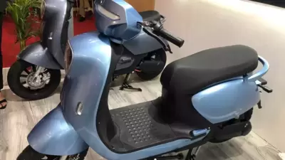 LIger mobility E scooter HT 