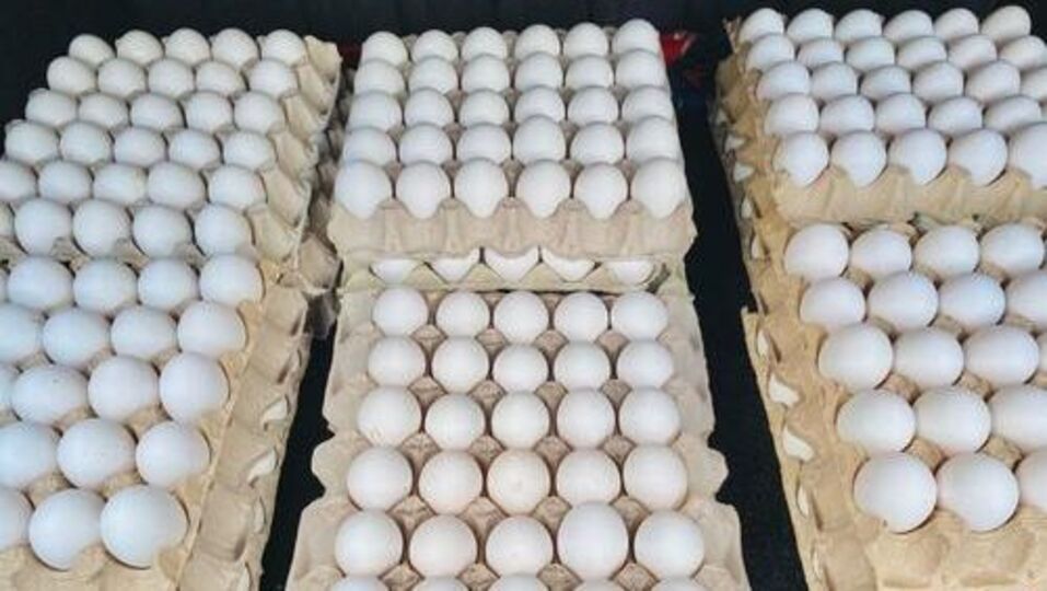 Eggs Rate मुंबईत अंड्याच्या दरात २ रुपयांची वाढ, प्रति डझन २० ते २४ रुपयांची भाववाढmumbai