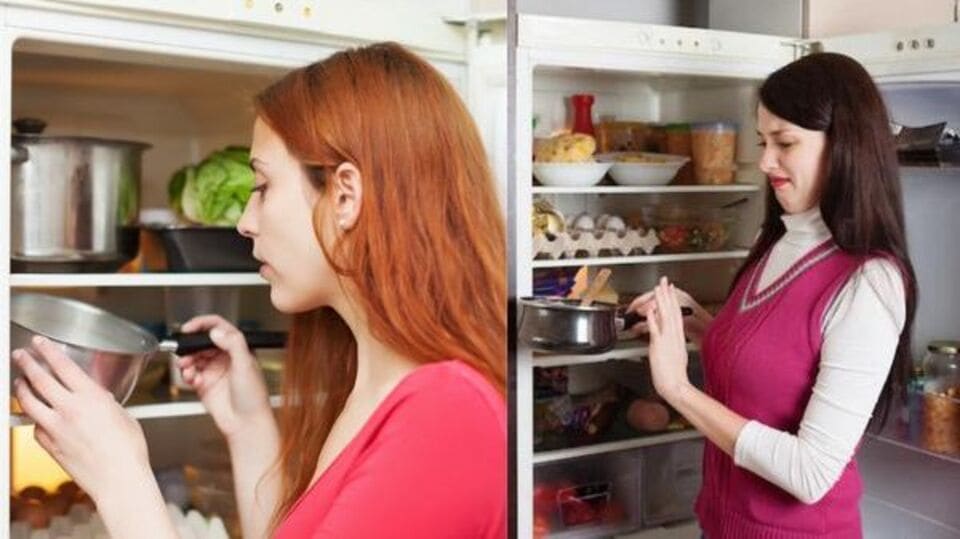 hot-food-in-fridge