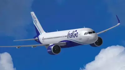 IndiGo Flight Viral Video