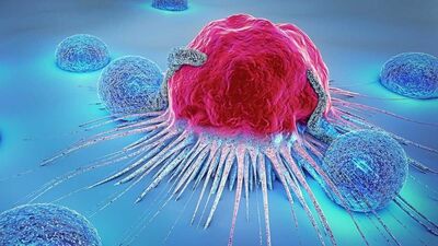 कर्करोगाच्या संसर्गाचे प्रमाण दिवसेंदिवस वाढत आहे. २०४० पर्यंत कर्करोग भयंकर स्वरूप धारण करेल अशी भीती शास्त्रज्ञांना आहे. परिणामी अनेक लोकांचा मृत्यू होऊ शकतो. पण कर्करोग दूर ठेवणे शक्य आहे का?