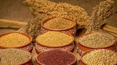 Nirmala Sitharaman Speaks About Millets