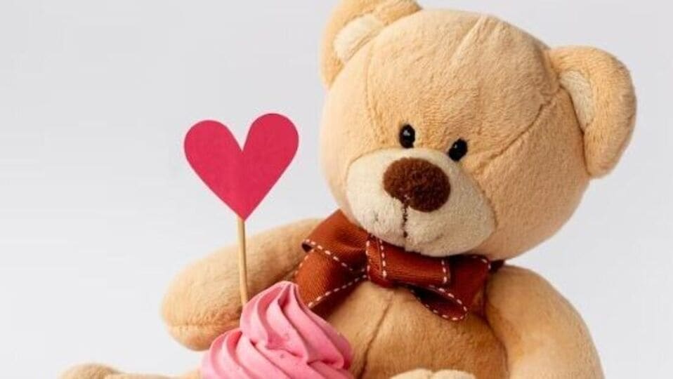 Teddy Day का दिला जातो टेडी गिफ्ट? पाहा हा मजेशीर किस्साknow the
