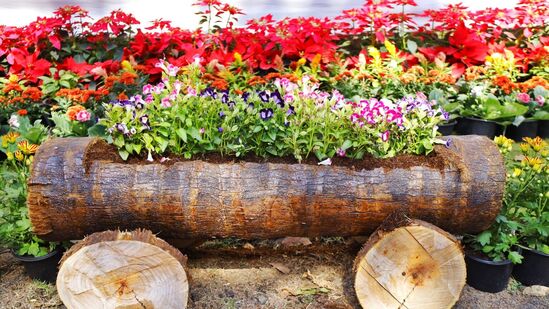 या प्रदर्शनात मुंबई महानगरपालिका, मुंबई रोझ सोसायटी, इंडियन बोन्साय सोसायटी सोबतच ‘सनटेक’, ‘गोदरेज’, ‘हिरानंदानी’, ‘BARC’, ‘टाटा पॉवर’, ‘सोमय्या महाविद्यालय’ इत्यादी संस्थांनी भाग घेतला होता. या प्रदर्शनासोबत विक्री दालनांमध्ये विविध प्रकारच्या झाडांची रोपे, बियाणे, खते उपलब्ध करून देण्यात आली होती. या प्रदर्शनात मुंबई महानगरपालिका, मुंबई रोझ सोसायटी, इंडियन बोन्साय सोसायटी सोबतच ‘सनटेक’, ‘गोदरेज’, ‘हिरानंदानी’, ‘BARC’, ‘टाटा पॉवर’, ‘सोमय्या महाविद्यालय’ इत्यादी संस्थांनी भाग घेतला होता. या प्रदर्शनासोबत विक्री दालनांमध्ये विविध प्रकारच्या झाडांची रोपे, बियाणे, खते उपलब्ध करून देण्यात आली होती.