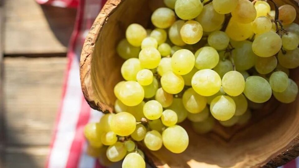 SideEffects of Grapes ‘या’ लोकांनी खाऊ नये द्राक्षे! होऊ शकते नुकसान
