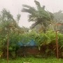 <p>अवकाळी पाऊस आणि ढगाळ वातावरणामुळं मका, केळी आणि पपई या पिकांचं मोठ्या प्रमाणात नुकसान होण्याची शक्यता आहे. याशिवया गव्हाच्या पिकांवर रोगटा पडण्याची चिंता शेतकऱ्यांना सतावत आहे.</p>