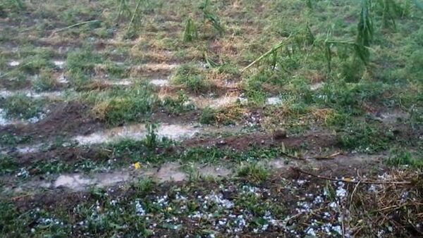 Pune Rain News : बदललेल्या वातावरणामुळं राज्यातील अनेक जिल्ह्यांमध्ये आज अवकाळी पावसानं हजेरी लावली आहे.