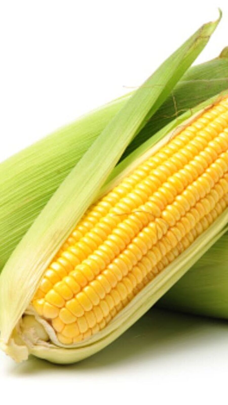 कणीस खाण्याचे हे फायदे माहित आहेत का?