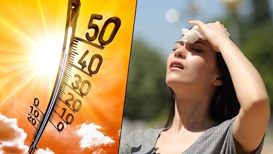 Summer Season In Nashik and Pune