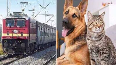 Pet Animal travhal in Train