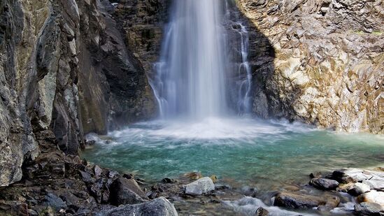 जागतिक पर्यावरण दिन 