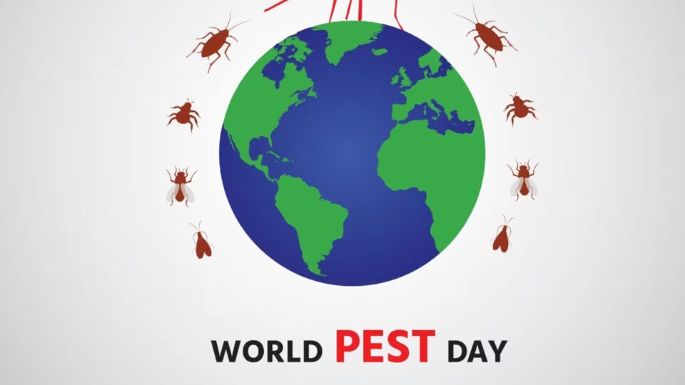 World Pest Day 2023 जागतिक कीटक दिन का साजरा केला जातो? जाणून घ्या