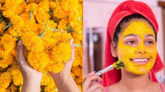 చర్మం పొడిబారినట్లయితే, ఫేస్ ప్యాక్ చేయడానికి బంతి పువ్వు రెక్కల్లో కొద్దిగా తేనె, చిటికెడు పసుపు, కొన్ని పాలు కలిపి మెత్తటి పేస్ట్ లాగా చేసుకోవాలి. దీన్ని ముఖానికి రాసుకుని కడిగేసుకుంటే చాలు.&nbsp;