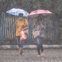 Pedestrians use umbrellas to shield themselves as they walk on a road amid heavy monsoon rainfall, in Kolkata. Meanwhile, the scarcity of rain in Bengal's jute-producing districts has slowed down the supply of golden fibre to mills amid bumper crop estimates, an official said on Sunday