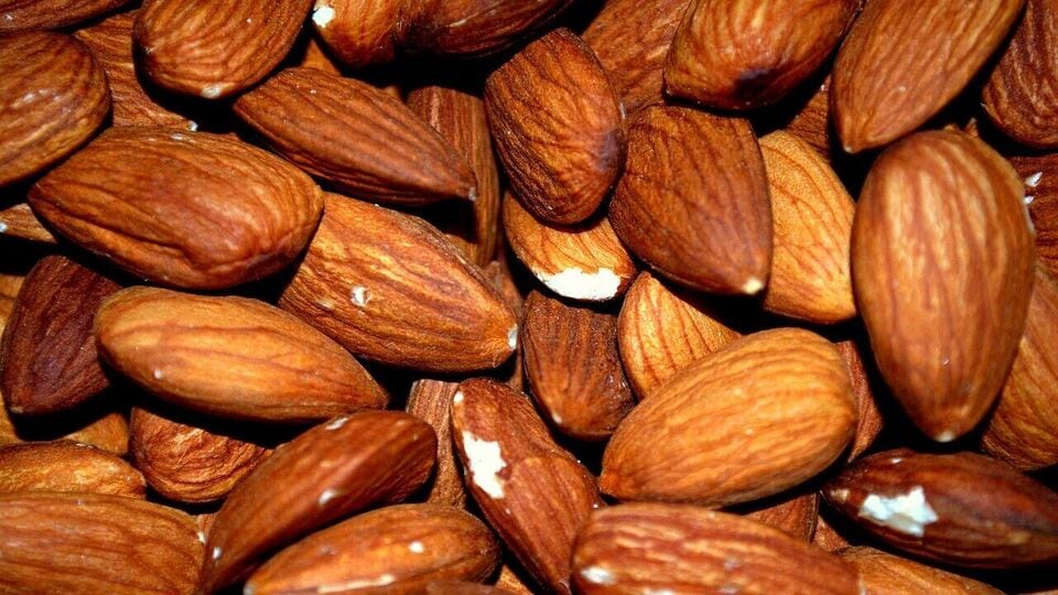 Roasted Almonds बदाम वाढवतात चांगले कोलेस्ट्रॉल, जाणून घ्या जबरदस्त