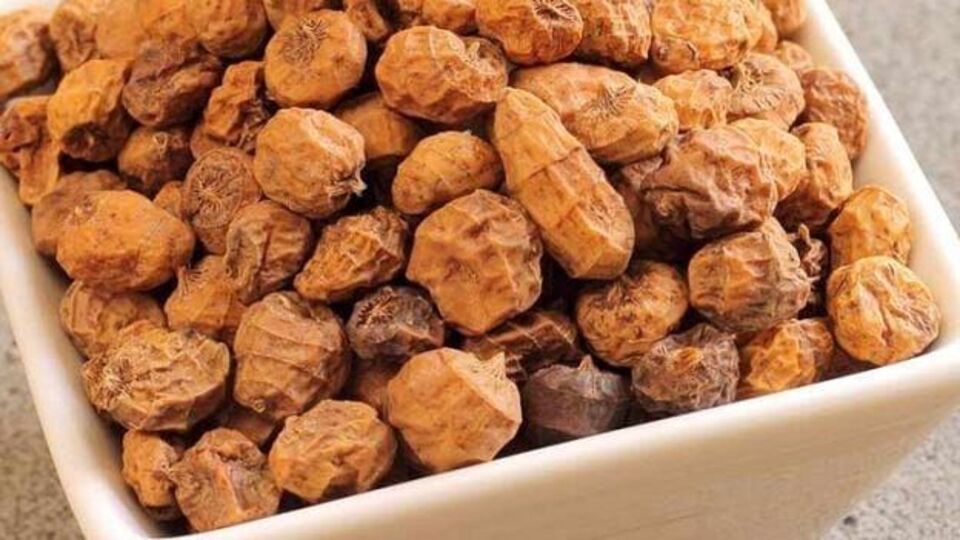 Tiger Nuts Benefits कोलेस्ट्रॉल ते मधुमेह नियंत्रित करण्यापर्यंत टायगर नट्सचे आहेत अनेक फायदे