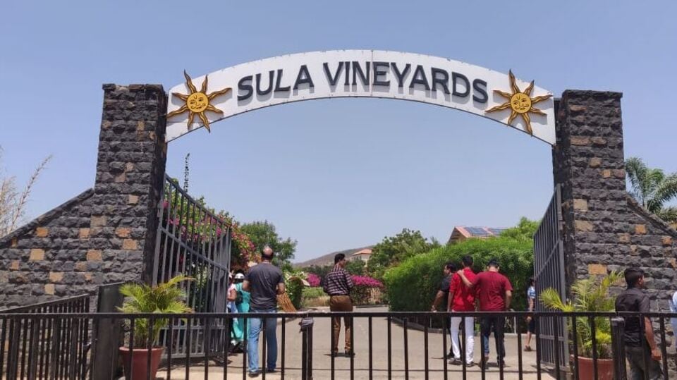 Sula Vineyards Nashik जगप्रसिद्ध सुला वाईन कंपनीला नोटीस; सरकारने