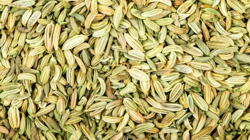 Fennel Seeds Benefits वेट लॉस असो वा कर्करोग, बडीशेप खाण्याचे आहेत हे
