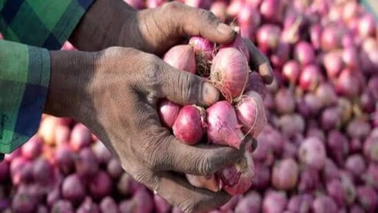 Onion Prices