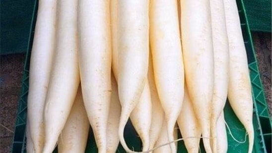 क्रूसिफेरस भाज्या शरीराच्या कर्करोगास कारणीभूत पदार्थांपासून शुद्ध करण्यास मदत करतात. हे कर्करोगाच्या ट्यूमरच्या वाढीस प्रतिबंध करते. मुळा देखील क्रूसिफेरस भाज्यांच्या गटाशी संबंधित आहे. ते खाल्ल्याने कर्करोगाचा धोका कमी होतो.&nbsp;