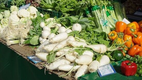 जर तुम्हाला मूळव्याध किंवा मूळव्याधचा त्रास असेल तर तुम्ही मुळा जरूर खा. मुळाशंखाच्या आजाराने त्रस्त असलेल्यांनी दररोज १०० ग्रॅम मुळा खावा. किंवा मुळा कापून १ चमचा मधासोबत खा. किंवा मुळ्याच्या रसात चिमूटभर सेंधक मीठ टाकून प्या आणि तुमची समस्या दूर होईल.&nbsp;&nbsp;