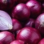 Onion HT
