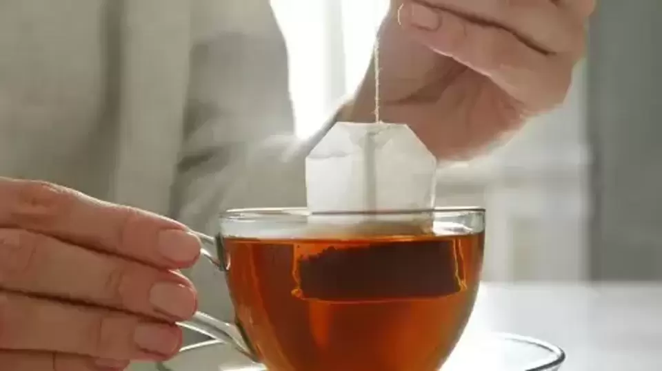 Green Tea Bag वापरलेली ग्रीन टी बॅग फेकू नका, या ६ स्मार्ट पद्धतीने