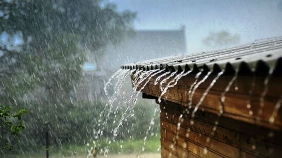 Vidarbha And Marathwada Rain Update Vidarbha And Marathwada Rain Update